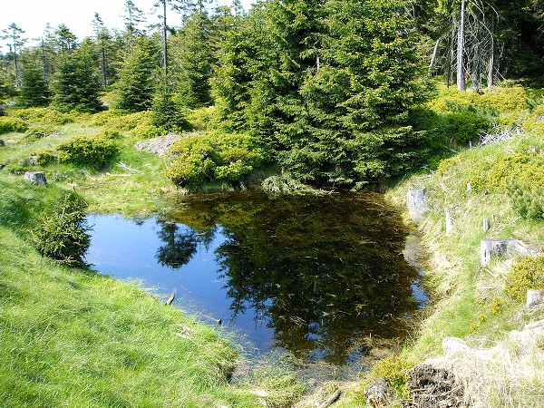 JIZERSKÉ HORY - HEJNICE,SMRK,SMĚDAVA